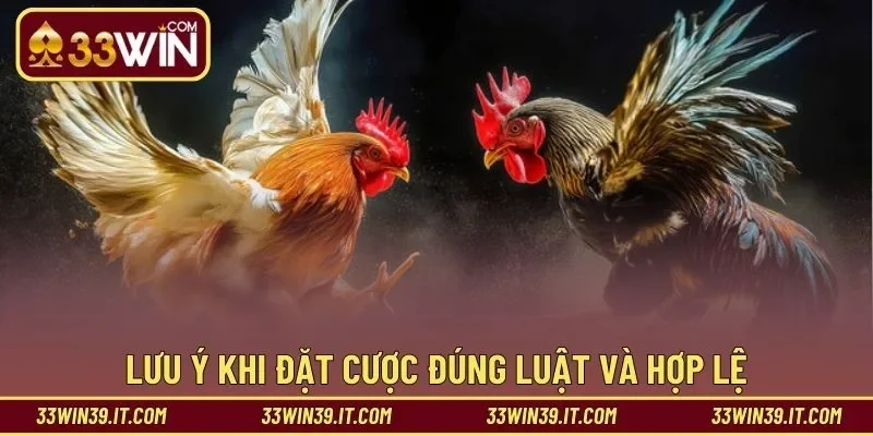 Lưu ý khi đặt cược đúng luật và hợp lệ