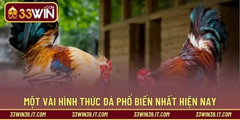 Một vài hình thức đá phổ biến nhất hiện nay